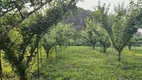 Foto 15 de Fazenda/Sítio à venda em Zona Rural, Urubici