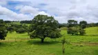 Foto 19 de Fazenda/Sítio com 2 Quartos à venda, 250m² em Zona Rural, Goianápolis