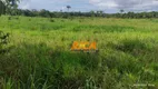 Foto 8 de Fazenda/Sítio à venda, 3000000m² em Zona Rural, Humaitá