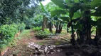 Foto 13 de Fazenda/Sítio com 3 Quartos à venda, 5000m² em Estância Vale das Brisas , Anápolis