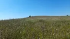 Foto 5 de Fazenda/Sítio com 1 Quarto à venda, 60000m² em Campo Largo da Roseira, São José dos Pinhais