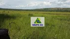 Foto 6 de Fazenda/Sítio à venda, 63000000m² em Zona Rural, São Romão