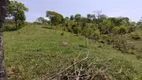 Foto 32 de Fazenda/Sítio à venda, 10m² em Zona Rural, Pontalina