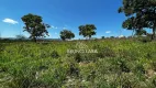 Foto 6 de Lote/Terreno à venda, 9000m² em RANCHO TRÊS LAGOAS, Igarapé