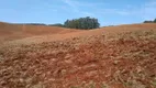 Foto 5 de Fazenda/Sítio com 2 Quartos à venda, 70m² em Zona Rural, Ribeirão Branco