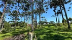 Foto 6 de Lote/Terreno à venda, 2200m² em Lageado, Campo Alegre