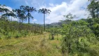 Foto 49 de Fazenda/Sítio com 5 Quartos à venda, 435600m² em Campo Alto, Tijucas do Sul