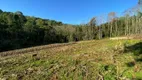 Foto 20 de Fazenda/Sítio com 2 Quartos à venda, 29154m² em , Boa Vista do Sul