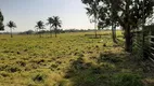 Foto 9 de Fazenda/Sítio com 2 Quartos à venda, 2275m² em Dores de Macabu, Campos dos Goytacazes