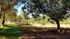 Foto 51 de Fazenda/Sítio com 3 Quartos à venda, 48000m² em Maracanã, Jarinu