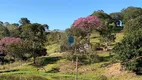 Foto 6 de Fazenda/Sítio com 4 Quartos à venda, 1500400m² em Centro, Hidrolândia
