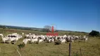 Foto 8 de Fazenda/Sítio à venda, 1210000m² em , Nova América da Colina