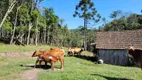 Foto 41 de Fazenda/Sítio com 3 Quartos à venda, 120m² em Centenário, São Bento do Sul