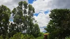 Foto 17 de Fazenda/Sítio com 2 Quartos à venda, 200m² em Saltinho, Elias Fausto