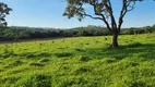 Foto 3 de Fazenda/Sítio à venda, 20000m² em Centro, São Gonçalo do Pará