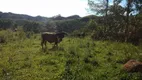 Foto 3 de Fazenda/Sítio com 3 Quartos à venda, 363000m² em Bairro Alto, Natividade da Serra