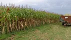 Foto 20 de Fazenda/Sítio com 3 Quartos à venda, 250m² em Zona Rural, Angatuba