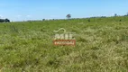 Foto 4 de Fazenda/Sítio à venda em Zona Rural, Campinápolis