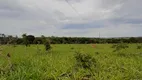 Foto 3 de Fazenda/Sítio à venda, 20000m² em Zona Rural, Aragoiânia