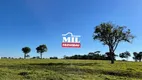 Foto 13 de Fazenda/Sítio à venda, 179080m² em Zona Rural, Goiânia