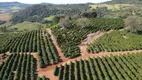 Foto 33 de Fazenda/Sítio com 4 Quartos à venda, 350m² em , São Sebastião do Paraíso