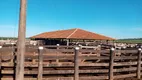 Foto 19 de Fazenda/Sítio com 3 Quartos à venda, 85m² em Zona Rural, Campos Belos