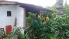 Foto 21 de Fazenda/Sítio com 3 Quartos à venda, 120m² em Zona Rural, São José do Rio Preto