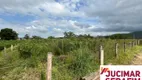 Foto 5 de Fazenda/Sítio com 1 Quarto à venda, 5500m² em Nova Descoberta, Tijucas
