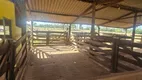 Foto 11 de Fazenda/Sítio com 3 Quartos à venda, 10m² em Chacaras Bonanza, Uberlândia