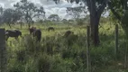 Foto 18 de Fazenda/Sítio à venda, 43000m² em Jardim Roriz, Brasília