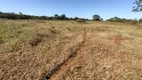 Foto 29 de Fazenda/Sítio com 2 Quartos à venda, 10m² em Zona Rural , Morrinhos