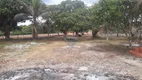 Foto 2 de Lote/Terreno à venda, 15000m² em Alagoinhas Velha, Alagoinhas