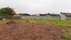 Foto 2 de Lote/Terreno à venda, 1000m² em Parque Dom Henrique, Cotia