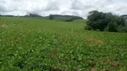 Foto 11 de Fazenda/Sítio à venda, 480000m² em Tranqueira, Almirante Tamandaré