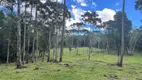 Foto 8 de Fazenda/Sítio à venda, 30000m² em Centro, Campo Alegre