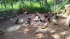 Foto 13 de Fazenda/Sítio com 3 Quartos à venda, 10000m² em Panorama, Uberlândia