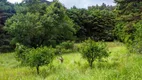 Foto 59 de Fazenda/Sítio com 5 Quartos à venda, 10500000m² em Vista Alegre, Teresópolis