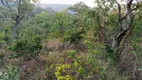 Foto 25 de Fazenda/Sítio com 1 Quarto à venda, 10m² em Zona Rural, Colinas do Sul