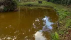 Foto 7 de Fazenda/Sítio com 2 Quartos à venda, 90m² em Zona Rural, São Pedro de Alcântara