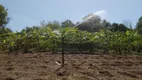 Foto 4 de Fazenda/Sítio com 2 Quartos à venda, 140m² em Zona Rural, Cravinhos