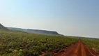 Foto 3 de Fazenda/Sítio à venda, 15700m² em Zona Rural, Alto Parnaíba