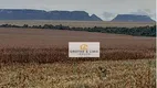 Foto 3 de Fazenda/Sítio com 10 Quartos à venda, 900m² em Centro, Tasso Fragoso