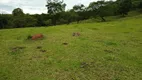 Foto 11 de Fazenda/Sítio com 2 Quartos à venda, 484000m² em Zona Rural, Santo Antônio da Alegria
