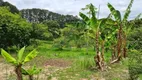 Foto 25 de Fazenda/Sítio com 4 Quartos à venda, 48400m² em Centro, Piracaia