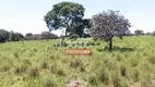 Foto 3 de Fazenda/Sítio à venda em Zona Rural, Pium