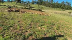 Foto 2 de Lote/Terreno à venda em Zona Rural, Urupema