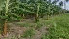 Foto 2 de Fazenda/Sítio com 3 Quartos à venda, 5000m² em Centro, Rio do Fogo