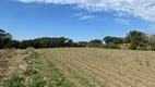 Foto 9 de Fazenda/Sítio à venda, 13000m² em Campo Novo, Campo Magro