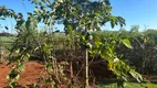 Foto 3 de Fazenda/Sítio com 2 Quartos à venda, 10000m² em Centro, Lagoa Formosa