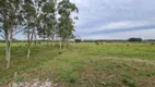 Foto 22 de Fazenda/Sítio com 3 Quartos à venda, 210m² em Lagoão, Araranguá
